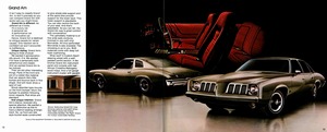 1973 Pontiac LeMans & Grand Am-12-13.jpg